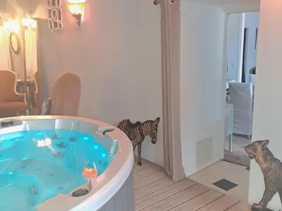 a bathroom with a sink and a shower with a mirror at Le gîte de Sainte Valière PISCINE,SPA et CLIMATISATION in Sainte-Vallière
