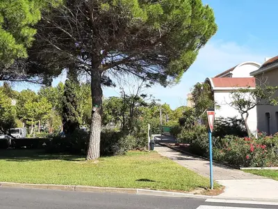 a tree on the side of a road with a street sign at Entre port et village in Gruissan