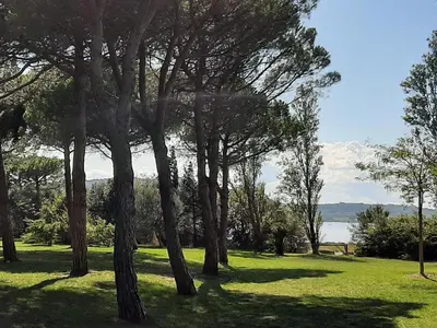 a group of trees in a field with a body of water at Entre port et village in Gruissan