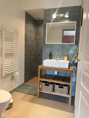 a bathroom with a sink and a mirror at Le Domaine de Villespy in Villespy