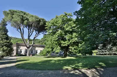 a group of trees in front of a house at La Chapelle aux Acacias in Caucalières