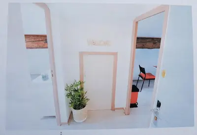 a door into a room with a plant in it at STUDIO 9 Classé 2 Etoiles in Carcassonne