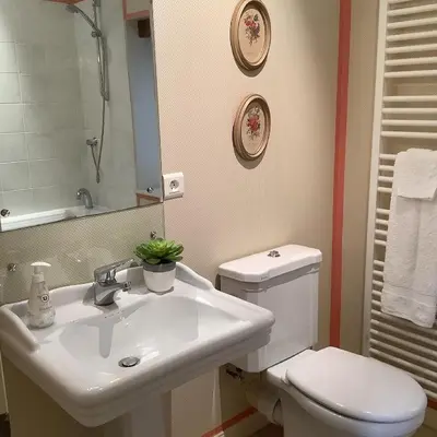 a bathroom with a sink and a toilet and a mirror at Mille Fleurs in Castres