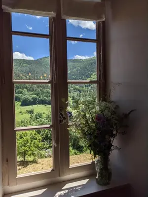 a window with a vase of flowers on a table at La Caminada Vielha in Montaillou