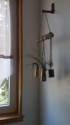 a room with three potted plants hanging on a wall at Libre à vous ... in Félines-Termenès