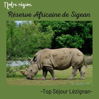 a rhino walking in the grass in a field at Cosy Green Clim Wifi Centre ville 2 pers in Lézignan-Corbières