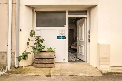 an open door with a potted plant in front of it at Cosy Green Clim Wifi Centre ville 2 pers in Lézignan-Corbières
