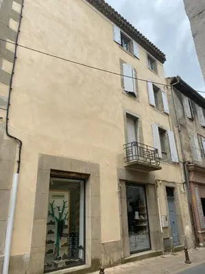 a building with a store window with a plant painted on it at La Dolce Vita in Carcassonne