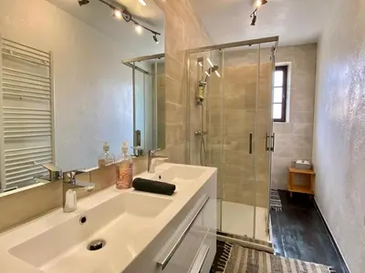 a bathroom with a sink and a shower at Appartement Cité de Carcassonne in Carcassonne