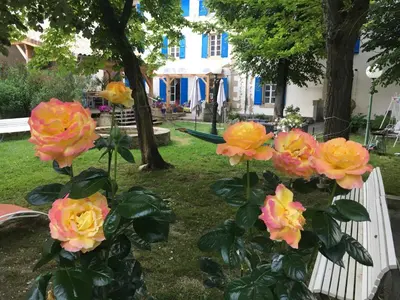a bunch of flowers in front of a house at La Vie en Roses in Rennes-les-Bains