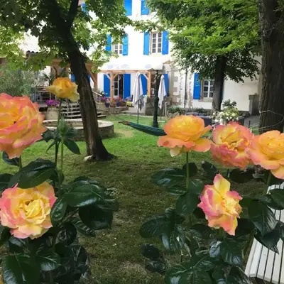 La Vie en Roses