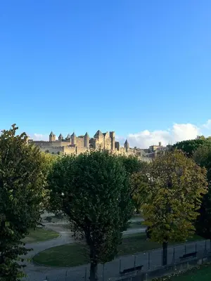 a view of a city from a park with trees at Le Rêve Bleu Appartement Hyper-centre in Carcassonne