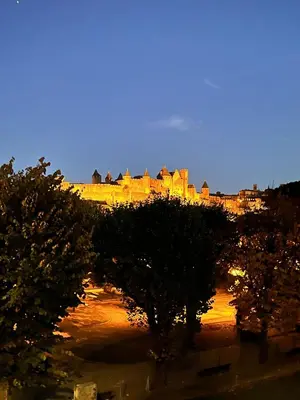 a view of a castle at night with trees at Le studio Hyper-centre in Carcassonne