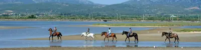 a group of people riding horses on the beach at APPARTEMENT 6 PERSONNES in Port-la-Nouvelle