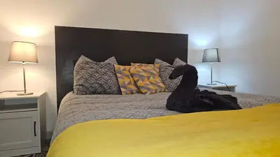 a black dog sitting on a bed with two lamps at La Pause Laurag-aise l'embleur Oc Keys 27 in Castelnaudary