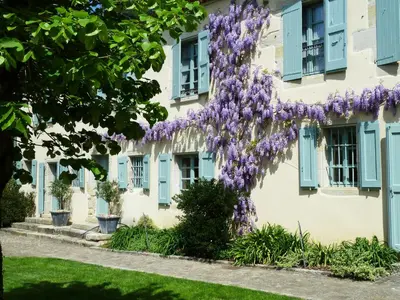 a house with purple wisteria on the side of it at The Courtyard in Castres
