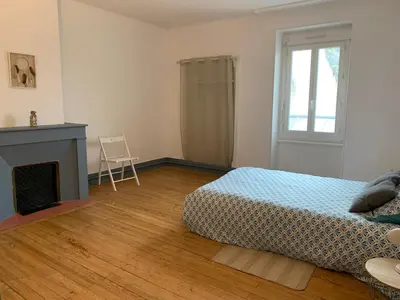 a bedroom with a bed and a fireplace and a window at Elégant Appartement T3 hypercentre de Mazamet in Mazamet