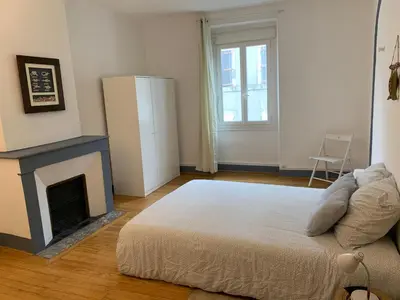 a living room with a bed and a fireplace at Elégant Appartement T3 hypercentre de Mazamet in Mazamet