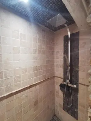 a bathroom with a shower with a toilet in it at Residence La Borde in Plavilla