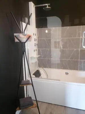 a bathroom with a shower and a bath tub at Studio Baignoire centre ville in Narbonne