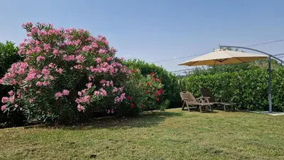 a bench and an umbrella next to a bush with pink flowers at Chambre d'hôte Lempautoise in Lempaut