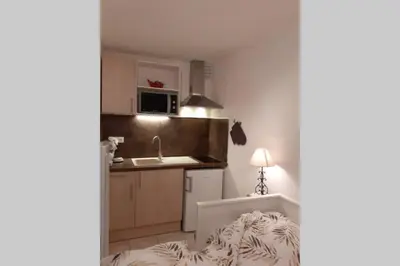 a small room with a bed and a kitchen at Studio Grazel classé 1 étoile au calme Rez de chaussée avec piscine et jardin in Gruissan