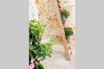 a ladder leaning against a stone wall with potted plants at La Porte du Midi in Mailhac