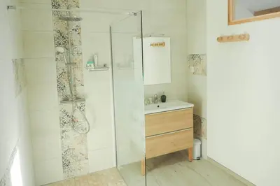 a bathroom with a shower and a sink at La Porte du Midi in Mailhac
