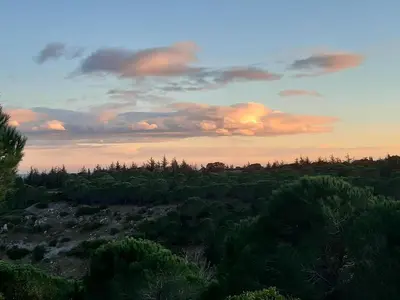 a sunset over a field with trees and bushes at Maison avec vue sur la mer et avec piscine à Fitou in Fitou
