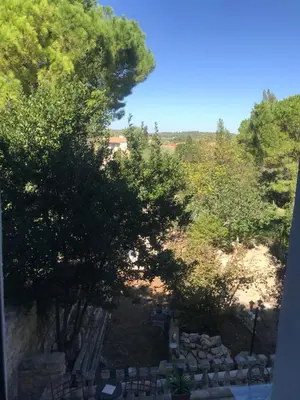 a view from a window of a park with trees at L Ostalada in Roquefort-des-Corbières