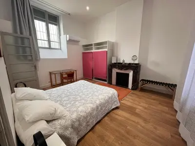 a bedroom with a large bed and a fireplace at Les clématites in Narbonne