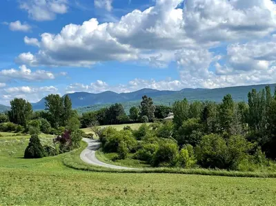 a winding road in a field with mountains in the background at Pause Cathare in Chalabre