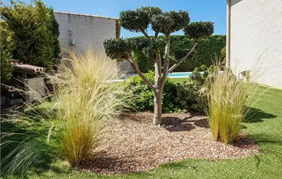 a garden with a tree and some grass at Stunning Home In Puisserguier in Puisserguier