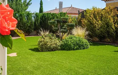 a garden with green grass and bushes and a house at Stunning Home In Puisserguier in Puisserguier