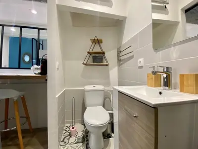 a bathroom with a toilet and a sink at Studios Sauzède - Carcassonne centre-ville in Carcassonne