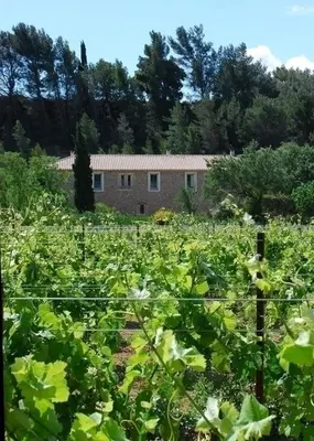 a field of crops with a building in the background at Domaine de 