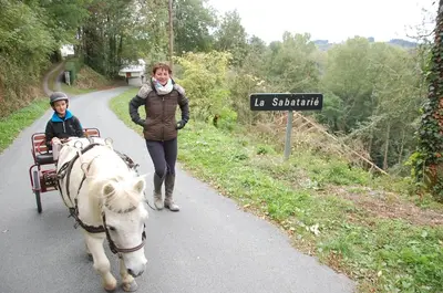 a woman riding a horse drawn carriage with a girl at Les Ecuries de la Sabatarié in Cambounès