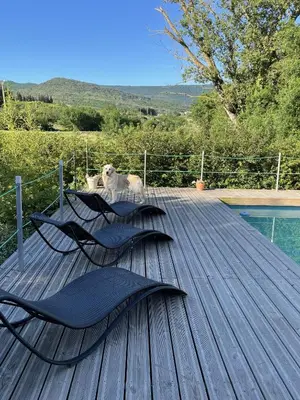a dog sitting on a wooden deck next to a pool at Le Domaine de La Tuilerie - Gite de charme en bord de riviere avec piscine in Serviès-en-Val