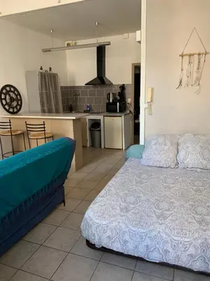 a living room with a bed and a kitchen at Studio en plein centre in Carcassonne