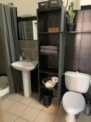 a bathroom with a toilet and a sink and a shower at Studio en plein centre in Carcassonne