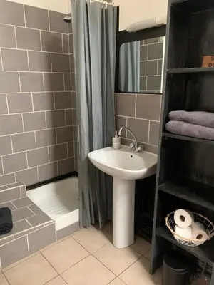 a bathroom with a sink and a shower at Studio en plein centre in Carcassonne
