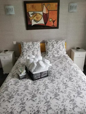 a bedroom with a bed with towels and a painting at Studio Camille in Sainte-Vallière