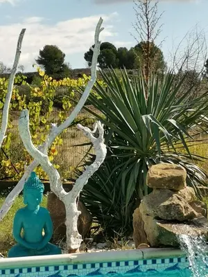 a buddha statue sitting next to a swimming pool at Studio Camille in Sainte-Vallière