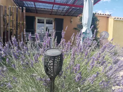 a garden with purple flowers in front of a house at Studio Camille in Sainte-Vallière