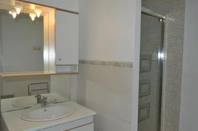 a bathroom with a sink and a shower at Domaine Las Brugues in Saint-Papoul