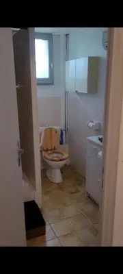 a small bathroom with a toilet and a sink at Studio meublé Viane in Viane
