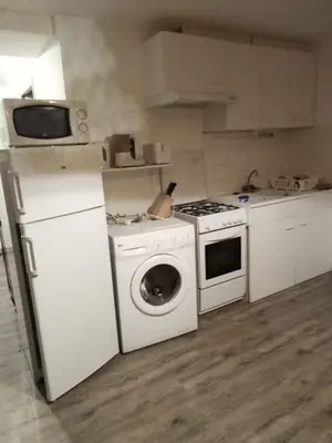 a kitchen with a stove and a washing machine at Studio meublé Viane in Viane