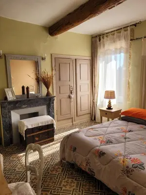 a bedroom with a bed and a fireplace and a mirror at La Sorga de Vida in Quarante