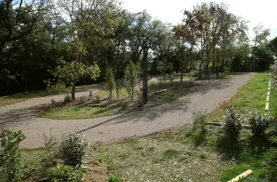 an empty road in a park with trees at Château de Roquefoulet Luxury Guesthouse & Spa in Montgeard