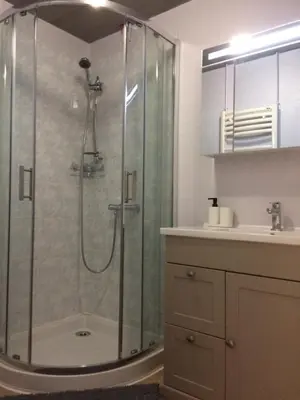 a bathroom with a shower and a sink at Le Montréalais in Montréal